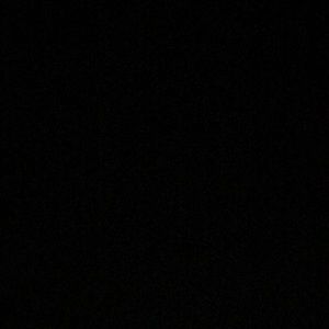 Meet your Posher, Violet